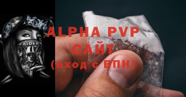 крисы Вязьма