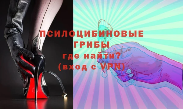 крисы Вязьма